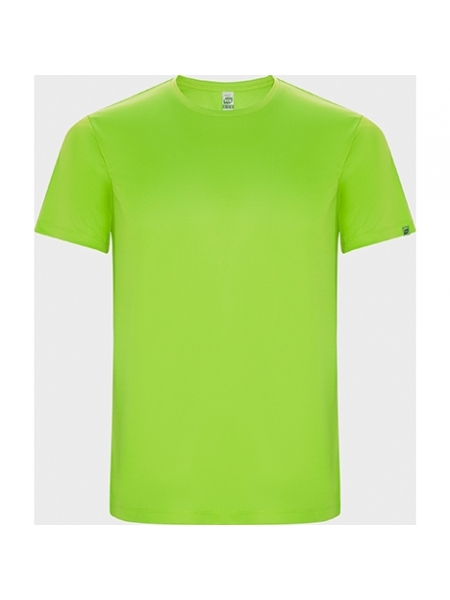 t-shirt-tecnica-uomo-imola-roly-222 verde fluo.jpg